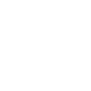 Coingecko White